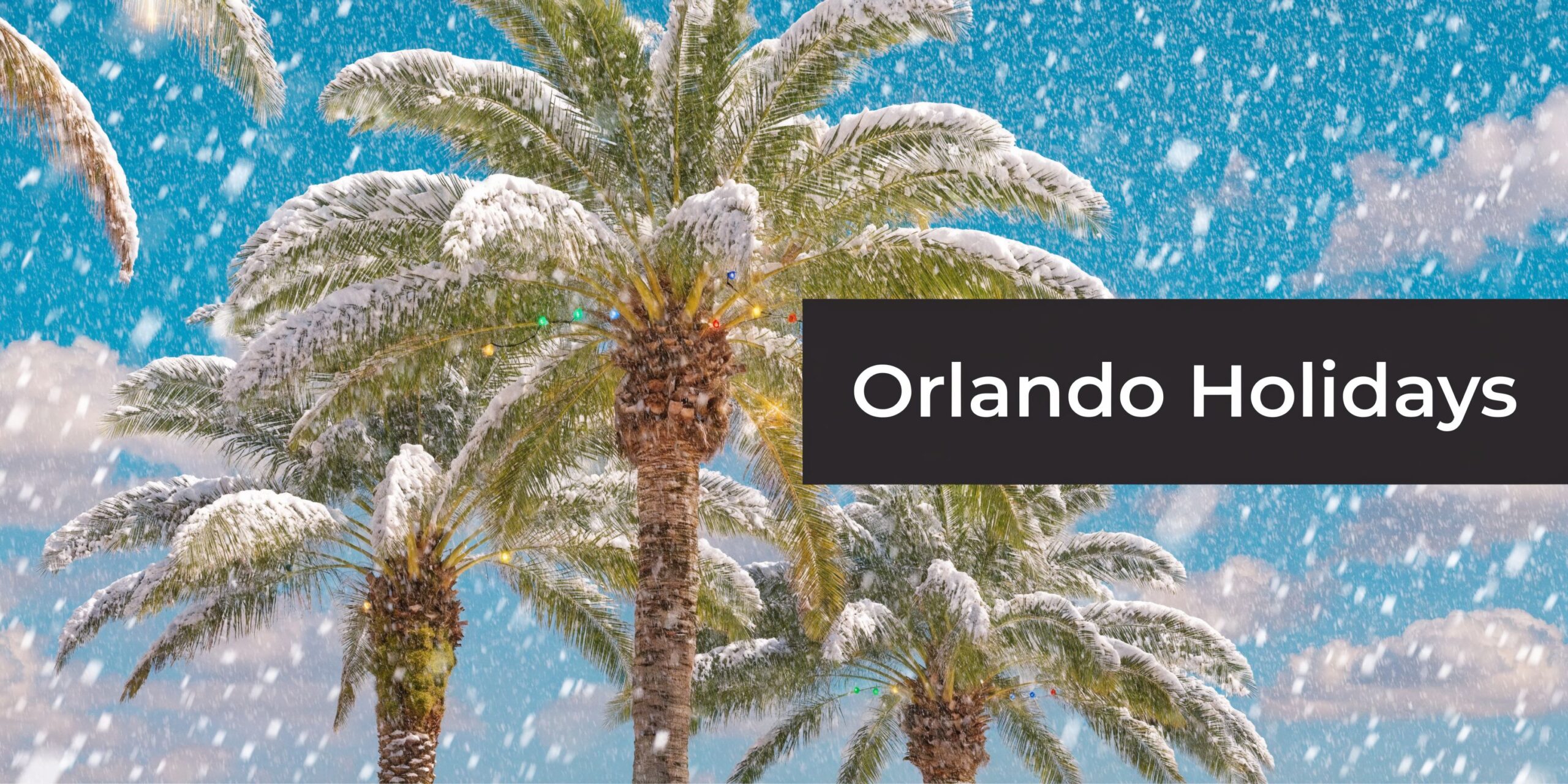 Snow covered palm trees against a blue sky with twinkling fairy lights for Orlando holidays.